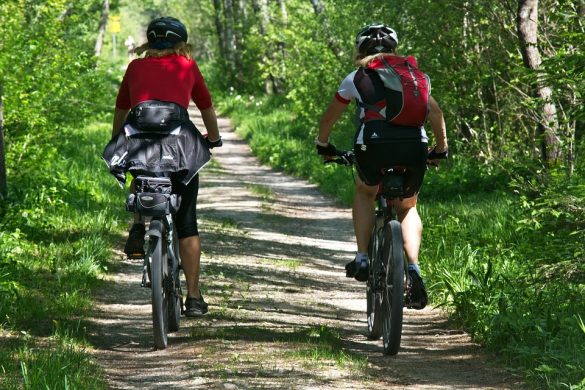 自転車乗りだけでなく 車の運転する人にも知っておきたい手信号 ハンドサイン Nekosatolog 自転車乗りだけでなく 車の運転する人にも知っておきたい手信号 ハンドサイン Nekosatolog