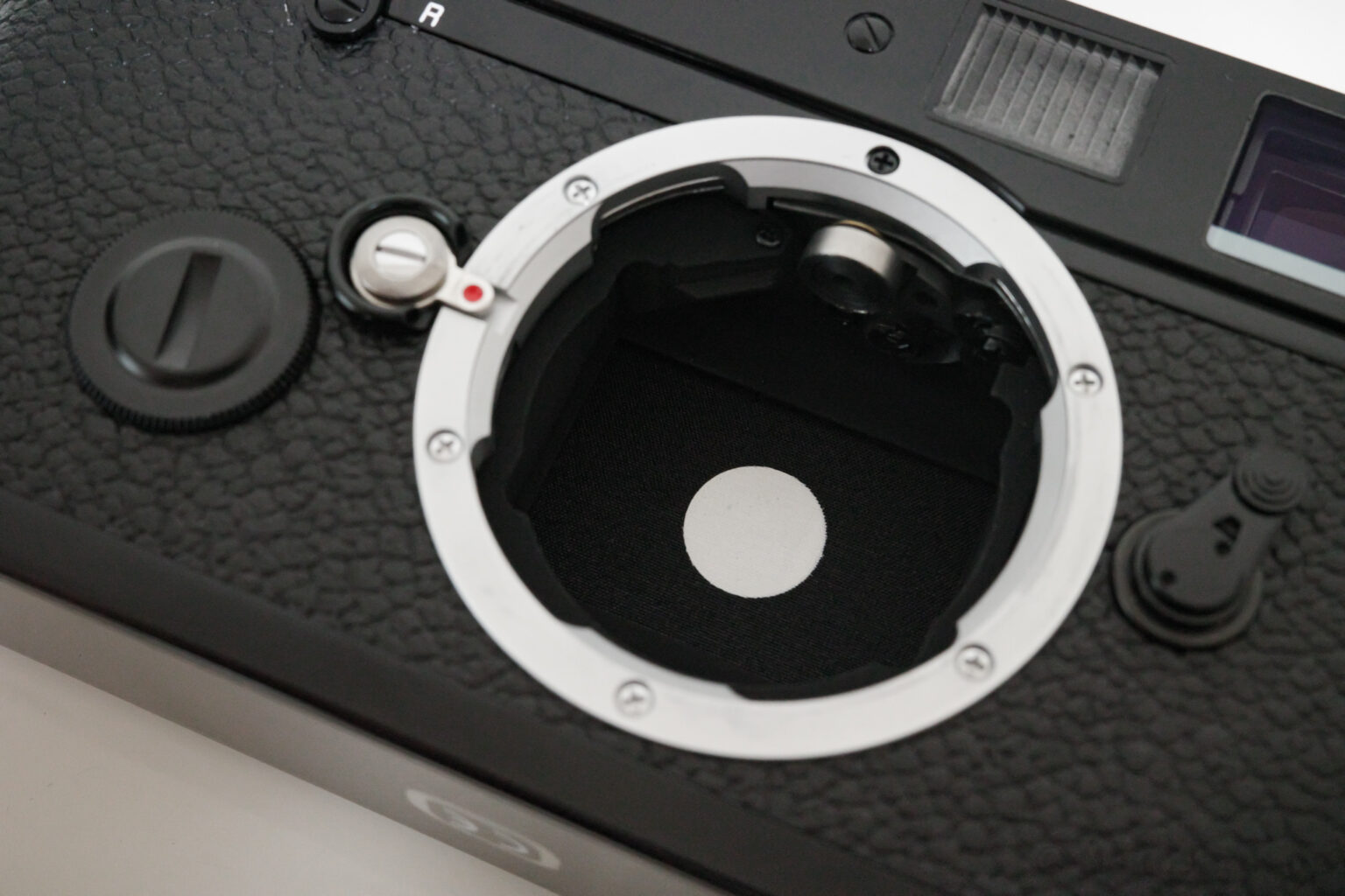 レビュー Leica MP 0.72：フィルム撮影がさらに楽しく！所有欲が満たされるカメラ（作例あり） NekosatoLog